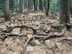-火炉山森林公园