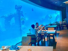 -涛·海底餐厅·美人鱼·自助餐·海底隧道(三亚海棠湾洲际度假酒店)