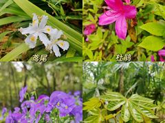 -南京雨花台风景区