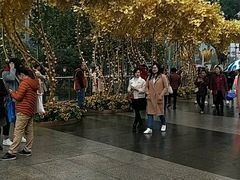 -重庆市江北嘴中央商务区中央公园