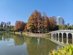 -四海公园(南山区)