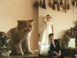 -雨墨婚纱摄影工作室