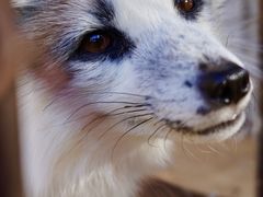 -猎鹰谷实弹射击俱乐部