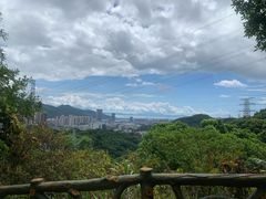 -梧桐山风景名胜区