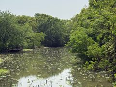 -上海海湾国家森林公园