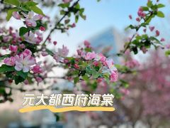 -元大都城垣遗址公园