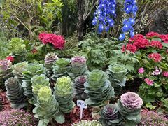 -东莞植物园