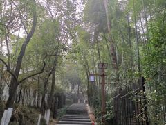 -天目湖山水园