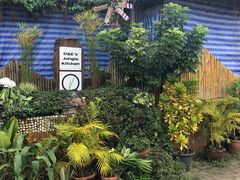 -Jungle Kitchen