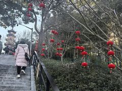 -上海佘山国家森林公园西佘山园