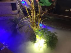 -佬麻雀·新湘菜(珠海金发购物中心店)