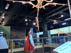 -墨尔本博物馆(Melbourne Museum)