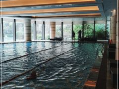 -海豚之星游泳俱乐部(喜来登馆)