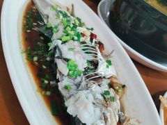 清蒸白鱼-宾湖农庄·农场特色(太湖龙之梦店)