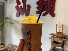 春山淡抹.茉莉毛尖奶茶-成川茶店·潮汕工夫浓茶(万象店)