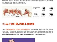 -多维国际马术俱乐部(118广场店)
