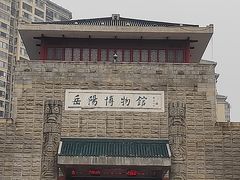 -岳阳市博物馆