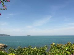 -顺峰渔港中国人的餐厅
