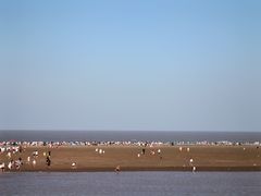 -启东黄金海滩景区