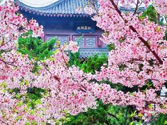 -堤角公园