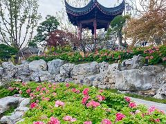 -上海滨江森林公园