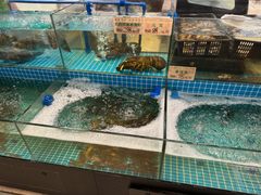 -四海酒家生态粤菜
