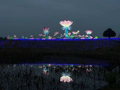 -空港花田景区