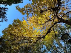 -元大都城垣遗址公园