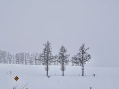 -青池