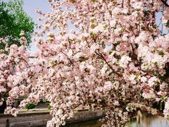 -元大都城垣遗址公园