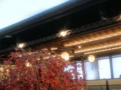 -三凤酒家·百年无锡菜(清扬茂业店)