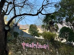 -塔川景区