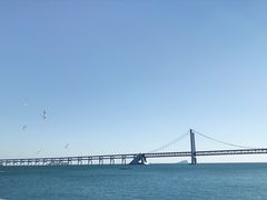-星海湾跨海大桥