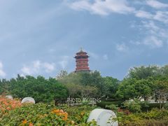 -厦门园林博览苑