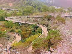 -香山湖公园