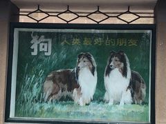 -北京海洋馆