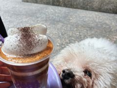 -HANA COFFEE(长寿路店)