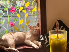 -初甜·舒芙蕾·韩式雪花冰(流塘店)