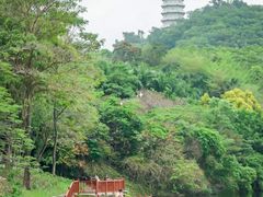 -深圳国际园林花卉博览园