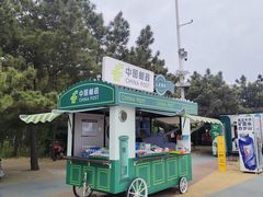 -日照海滨国家森林公园