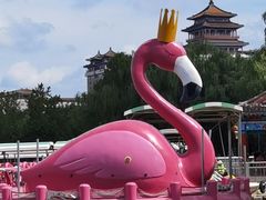 -莲花池公园