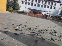 -布达拉宫
