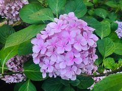 -白塘生态植物园