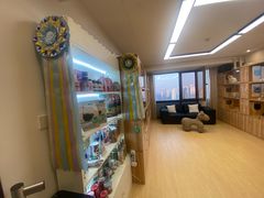 -猫十亿·布偶金渐层·曼基康矮脚猫舍(青年路店)
