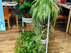 -渝信川菜 · 川味家常菜(财富购物中心店)