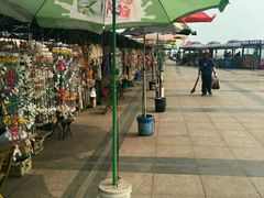 -日照灯塔风景区