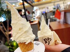-野人先生Gelato(上海长宁龙之梦店)