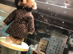 -济州岛泰迪熊博物馆