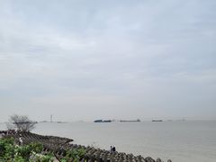 -上海滨江森林公园