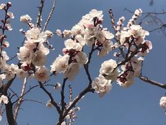 -迎泽公园